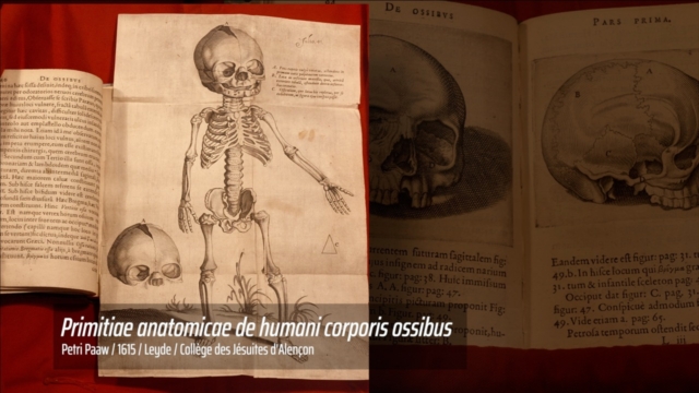 extrait-livre-fonds-anciens-mediatheque-aveline-lumens-prod
